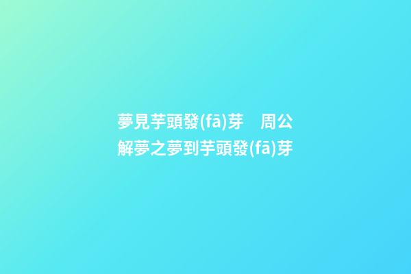 夢見芋頭發(fā)芽　周公解夢之夢到芋頭發(fā)芽